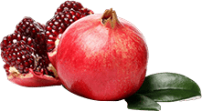 d683fd2025840330fa0e67c51c9a39c9e797b3ef