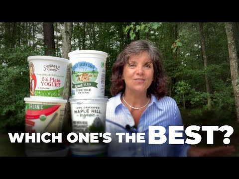 What is the Best Yogurt to Buy? My Top Picks from 4 Grocery Stores!