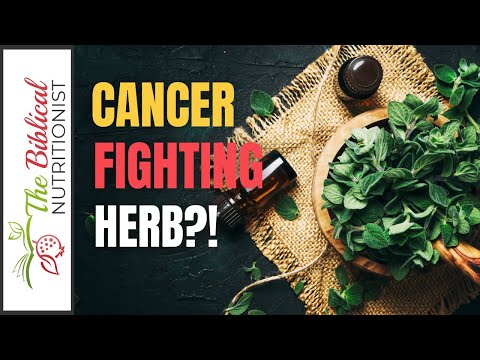 Herb Fights Cancer, Virus, & More - Cooking and Healing with Oregano