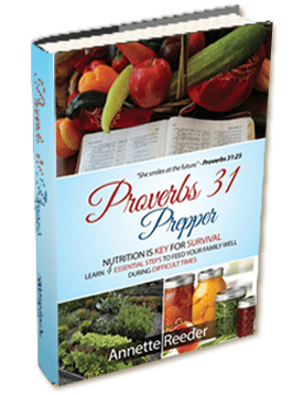 Proverbs-31-Prepper-book