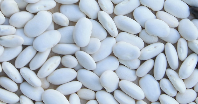 WHITE BEANS - YOUR ULTIMATE PROTEIN AND FIBER SOURCE