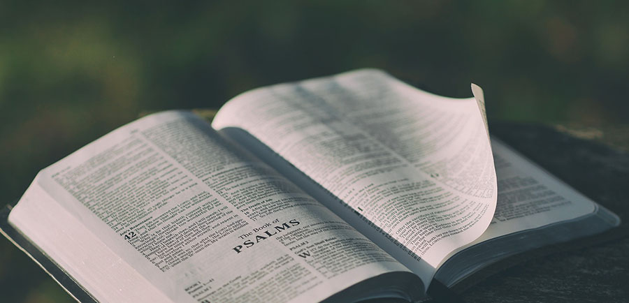 Biblical Food Journal Biblical Food Journal