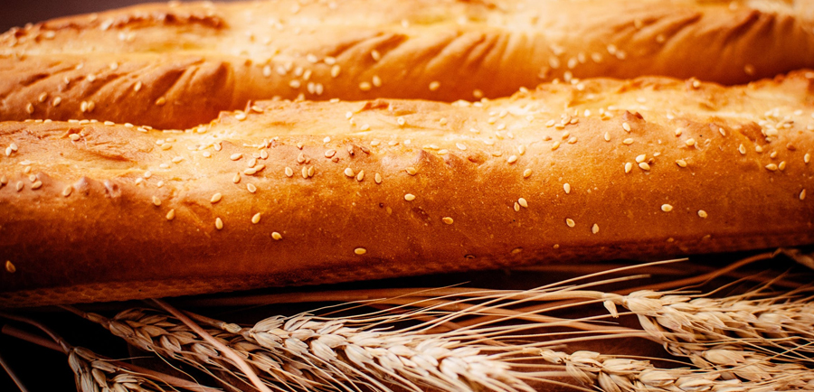 New Wheat Research Confirms "Bread of Life" is a Perfect Picture