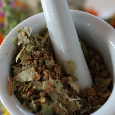 Medicinal Herbs in Your Kitchen Heres 11 Common Herbs That Heal