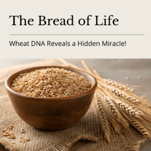 The Bread of Life: Wheat DNA Reveals a Hidden Miracle