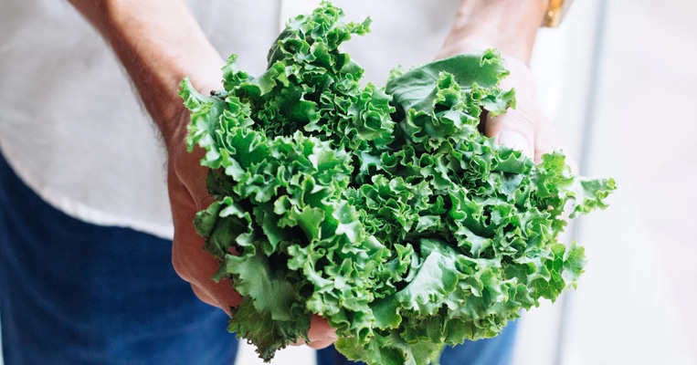 Why Kale is a Nutritional Powerhouse