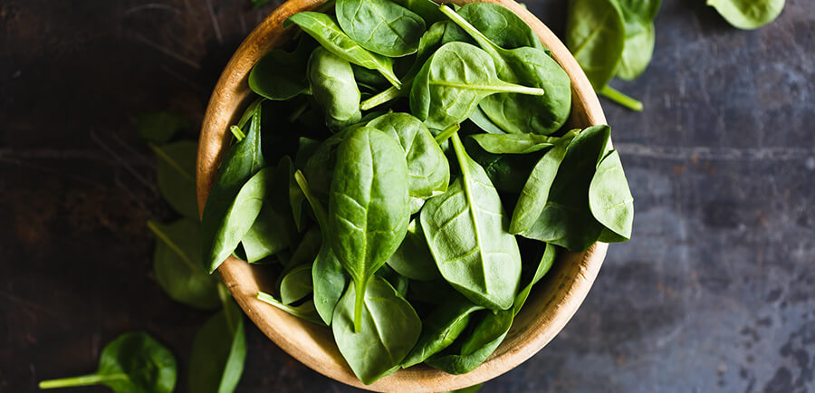 Easy Herbs to Grow Today Easy Herbs to Grow Today