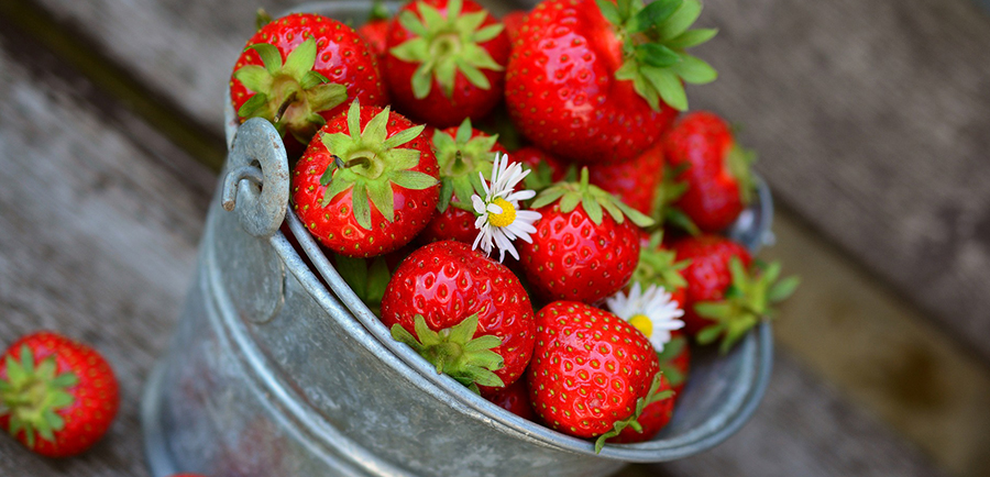 Easy and Practical Ways on How to Store Fresh Strawberries