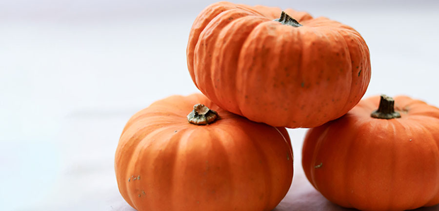 nutritional value of pumpkin bread nutritional value of pumpkin bread