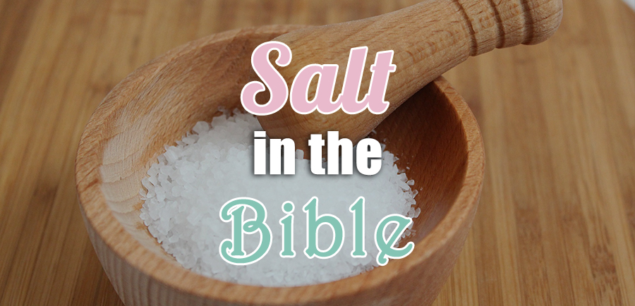 Salt In The Bible 7 Important Salt Meanings Biblical Symbolism,Kitchen Drawer Organizer Ikea