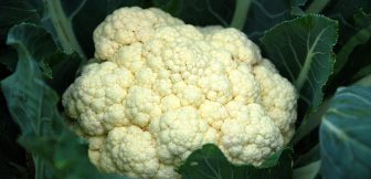 Top 10 Cruciferous Vegetables List That Saves | Cruciferous = Cross?