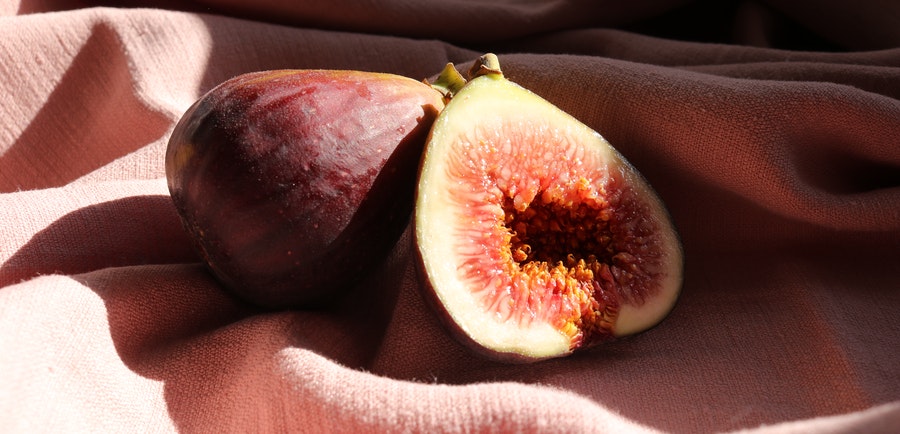 symbolism of figs in the bible