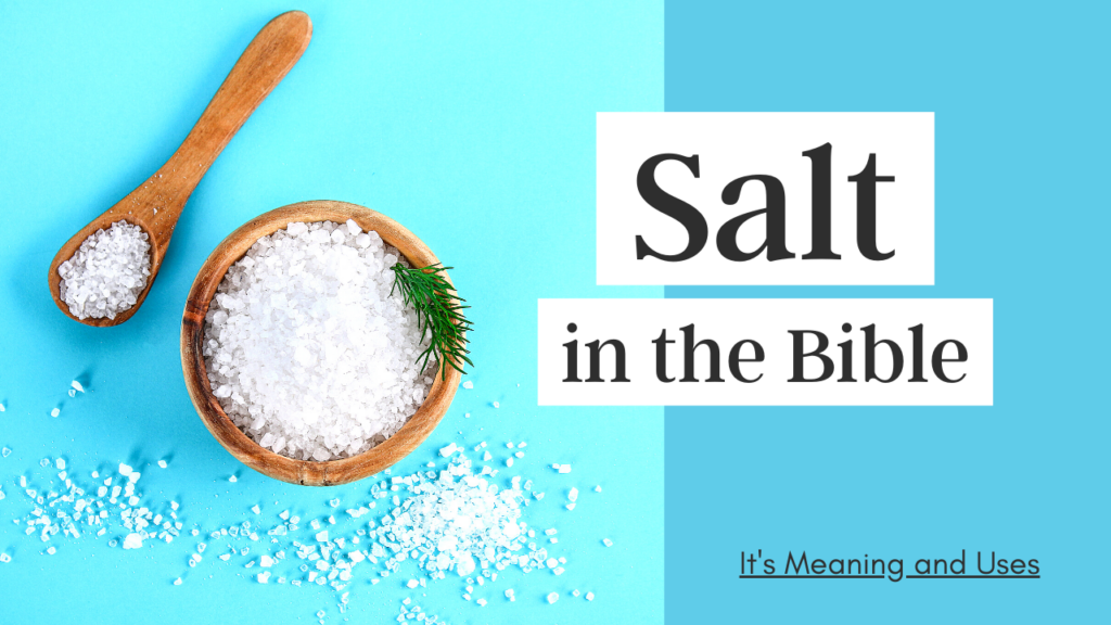 salt-in-the-bible-7-important-salt-meanings-and-biblical-symbolism