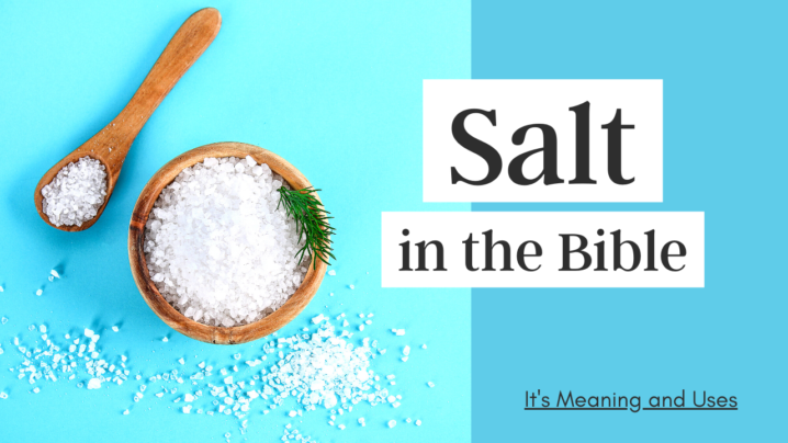 Salt in the Bible- 7 Important Salt Meanings and Biblical Symbolism