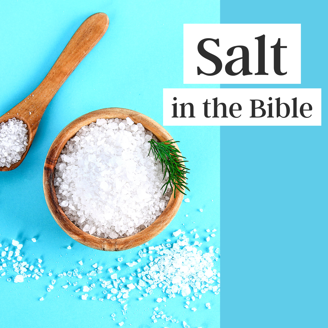 Salt in the Bible