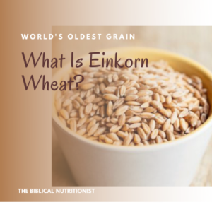 what is einkorn wheat