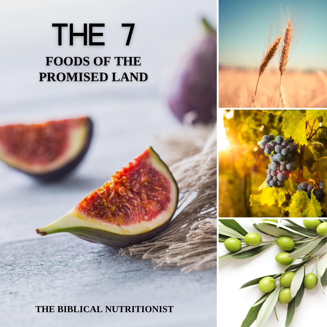 7 Foods of the Promised Land