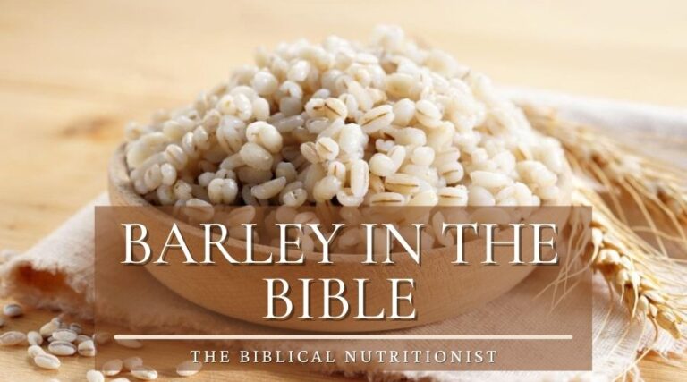 barley-in-the-bible