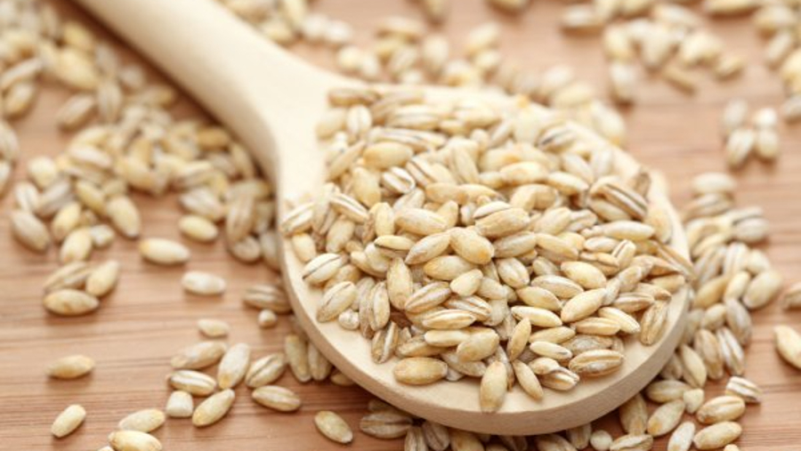 significance of barley in the bible