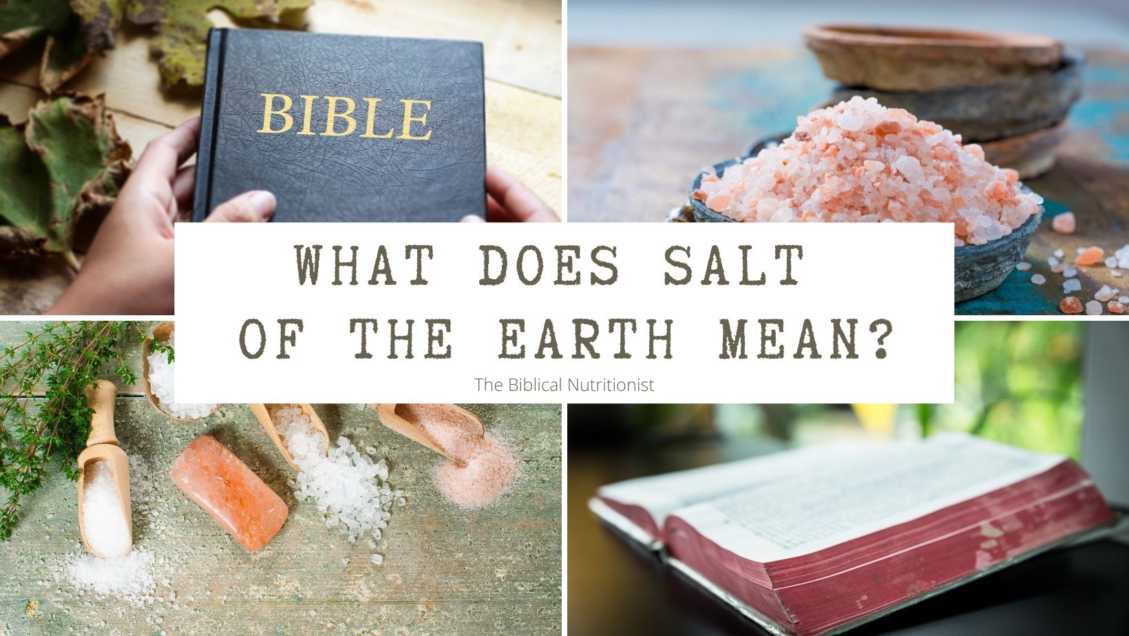 salt of the earth meaning