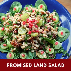 Promised Land Salad
