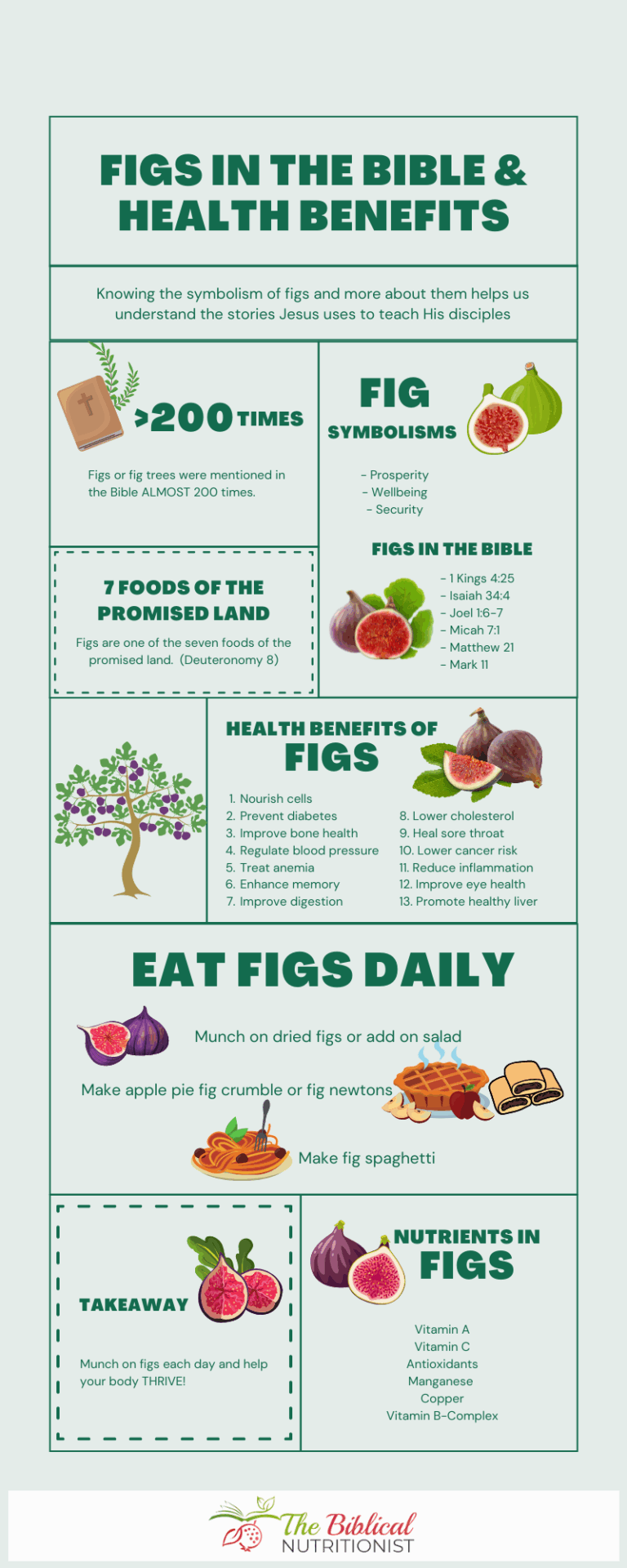 Figs in the Bible