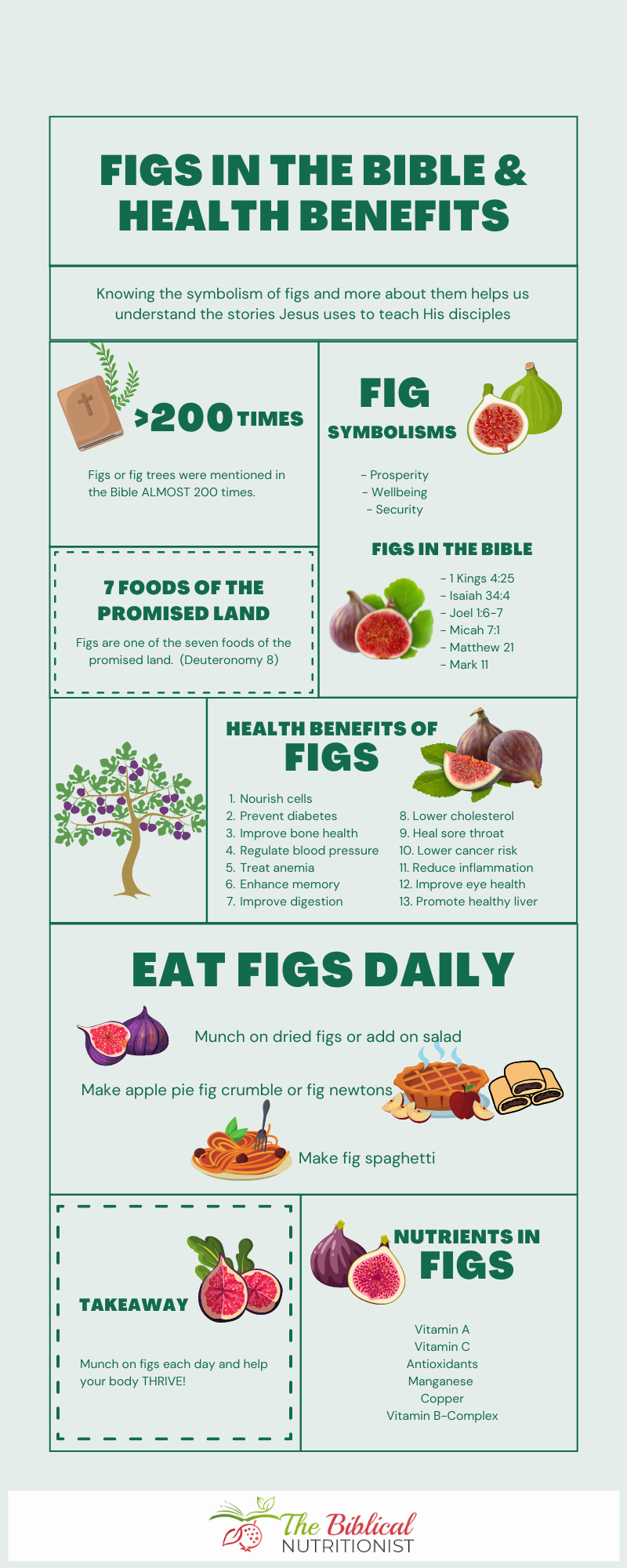 figs in the bible