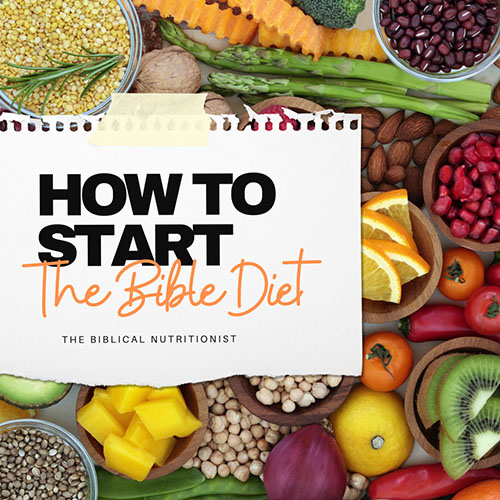 How-to-Start-opt
