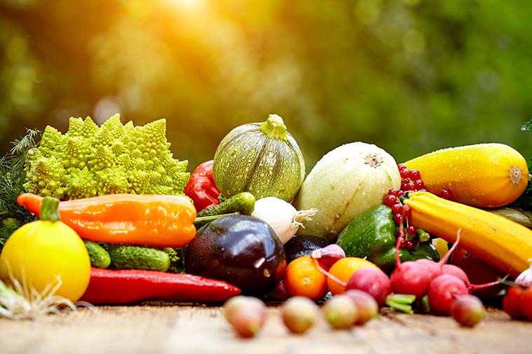 bible-vegetables-opt bible diet