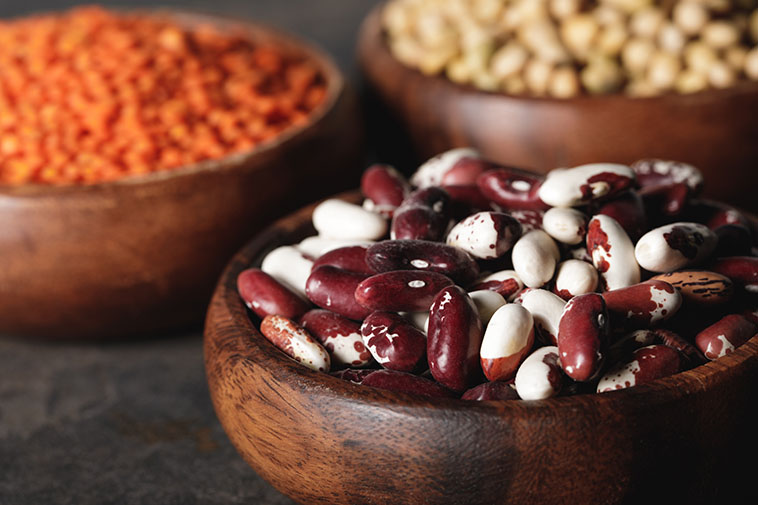 the-bible-diet-beans-opt bible diet