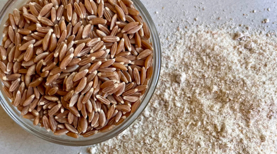 bowl of emmer wheat berries next to freshly milled flour