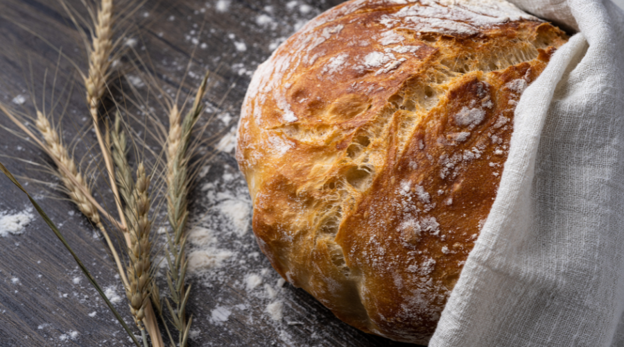close up of freshly baked homemade bread next to a head of wheat