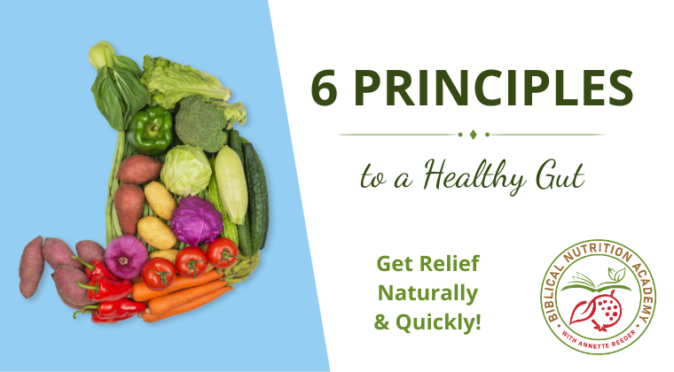 6 Principles to a Healthy Gut Online Course