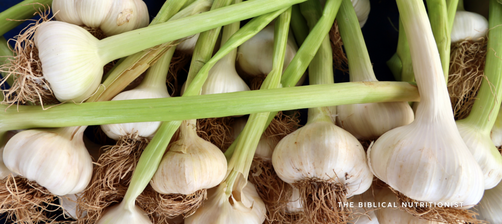Garlic in the Bible - The Herb the Israelites Missed